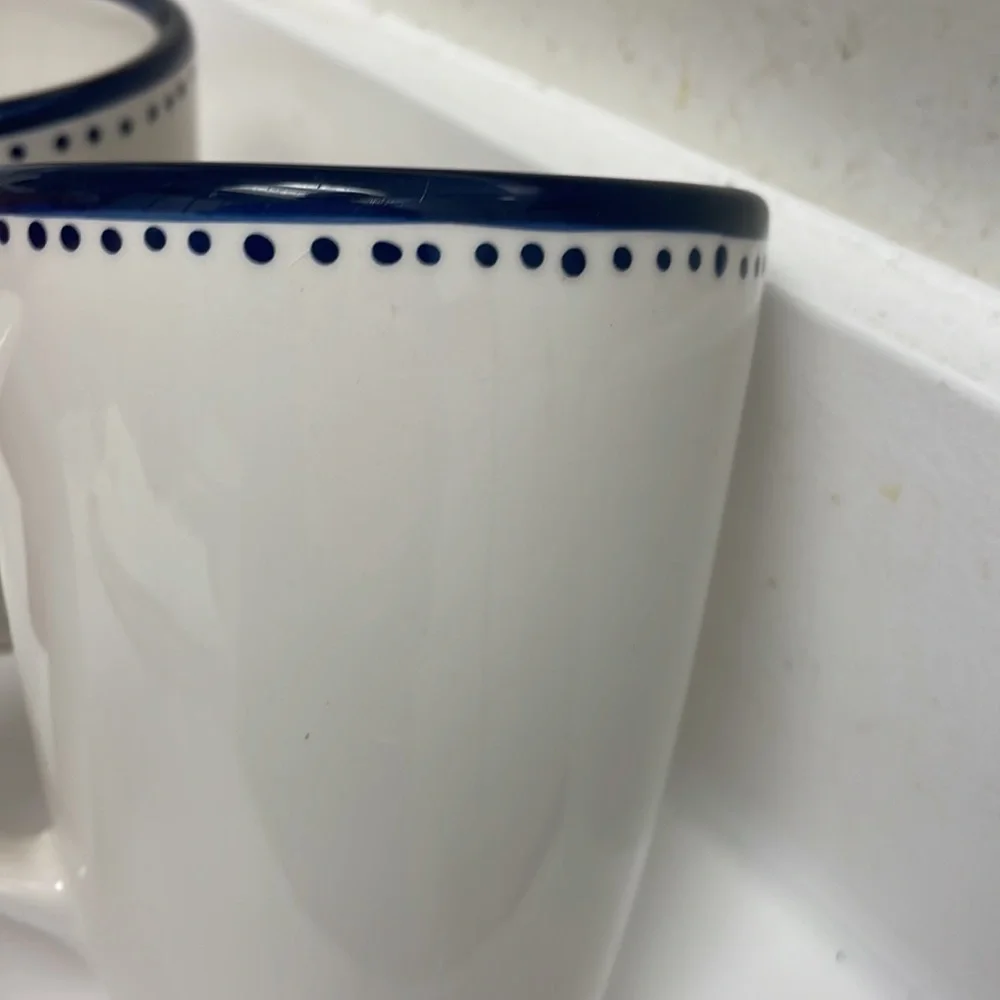 Pottery Barn cup mug set